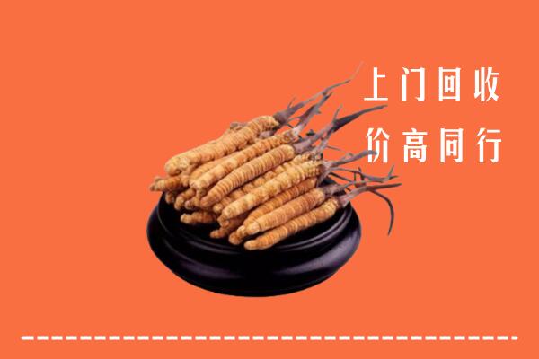 高价求购：蚌埠回收散虫草