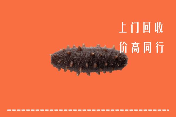 高价求购：蚌埠回收海参